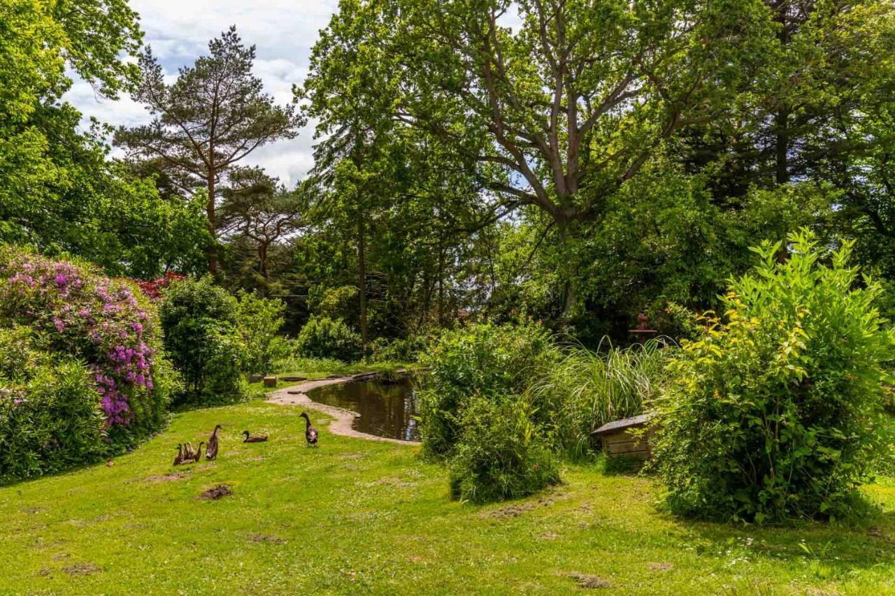 Host & Stay - The Eiders Aylmerton ภายนอก รูปภาพ